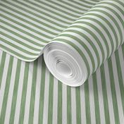 Tropical Stripe - Green & White