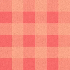 Large Gingham Check - Peach 2