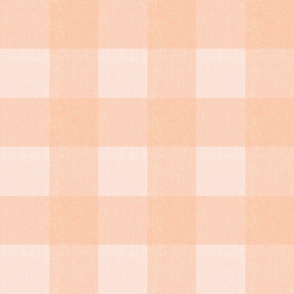 Large Gingham Check - Peach 1