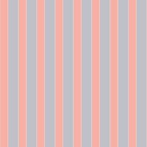 bold coral/pink and gray stripe