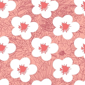 white flower on coral background
