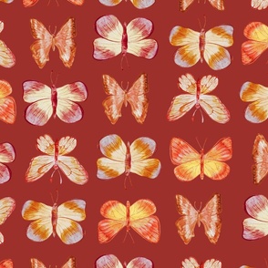 Spring butterfly motif, spring summer, orange and red painted wallpaper
