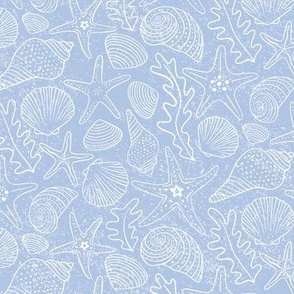 Medium | Sea Shells and Starfish in White on Blue
