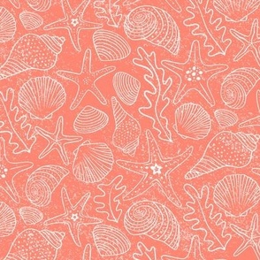 Medium | Sea Shells and Starfish in White on Coral Pink 