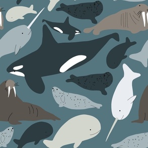 arctic life marine animals in deep teal