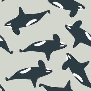 arctic life orca whales in mint green