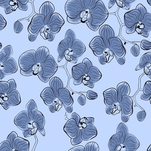  dark blue Phalinopsis orchids drawn with a pen on a light blue background