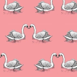 Swans on pink directional