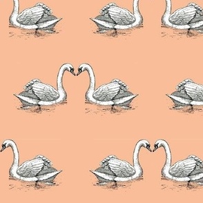Swans on peach directional