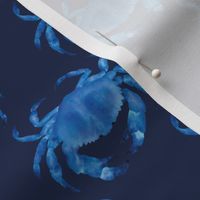 Coastal Crabs  ✦ Ocean Shellfish (navy blue)