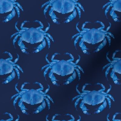 Coastal Crabs  ✦ Ocean Shellfish (navy blue)