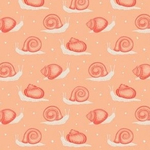 peach fuzz snail trail | minimalistic | kids nursery decor and apparel