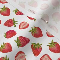 Red Strawberry ✦  Summer Fruit berries on white