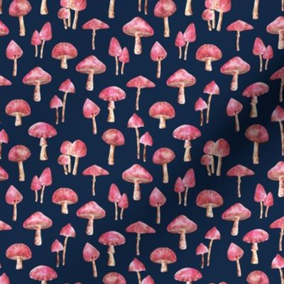 Pink Woodland Mushroom (on Blue)