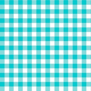 Seamless Repeating Aqua Blue And White Buffalo Plaid Pattern