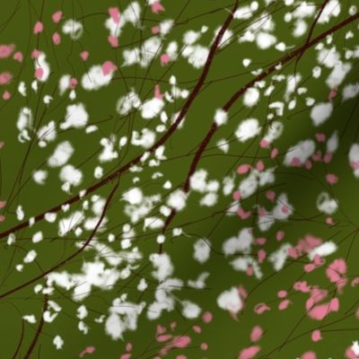 Serenade in Green: Cherry Blossoms on Dark Green - Minimalistic Brown Branches with White and Pink Flowers