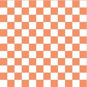 Smaller Cheerful Checkers in Orange Spice - Copy