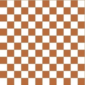 Smaller Cheerful Checkers in Sunset Brown - Copy
