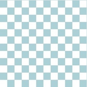 Smaller Cheerful Checkers in Baby Blue - Copy