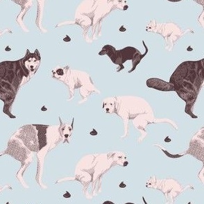 (xs) Dog breeds pooping on light blue background, toilet humor wallpaper, vet scrubs