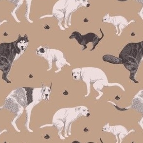 (xs) Dog breeds pooping on a beige background, toilet humor wallpaper, vet scrubs