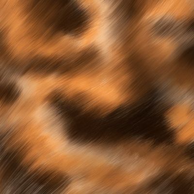 Tortoiseshell cat fur texture | medium scale
