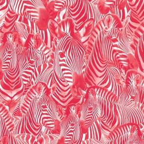 Endless sea of zebras in duotone red