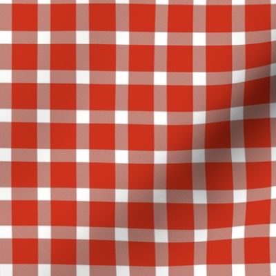 Smaller Pleasant Plaid in Rustic Red