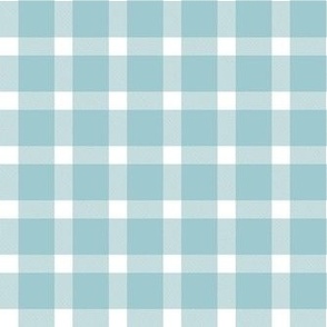 Smaller Pleasant Plaid in Baby Blue