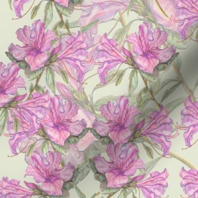 Heritage Azalea Textile M