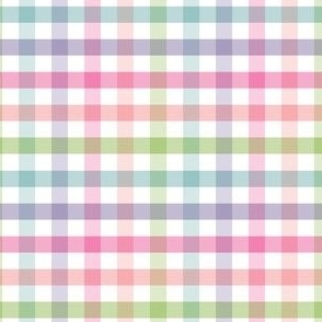 small spring gingham / C