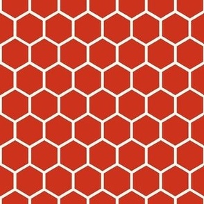 Smaller Hexagon Honeycomb Natural on Rustic Red