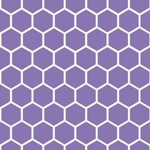 Smaller Hexagon Honeycomb Natural on Violet