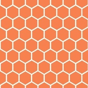 Smaller Hexagon Honeycomb Natural on Orange Spice