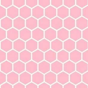 Smaller Hexagon Honeycomb Natural on Baby Pink