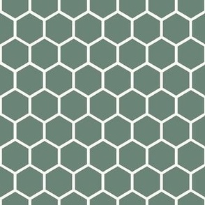 Smaller Hexagon Honeycomb Natural on Soft Pine Green