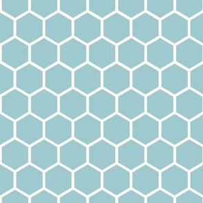 Bigger Hexagon Honeycomb Natural on Baby Blue