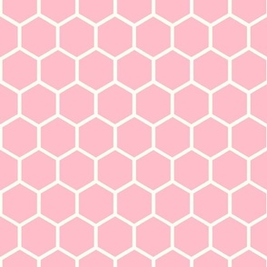 Bigger Hexagon Honeycomb Natural on Baby Pink