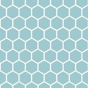 Smaller Hexagon Honeycomb Natural on Baby Blue
