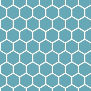 Bigger Hexagon Honeycomb Natural on Boho Blue