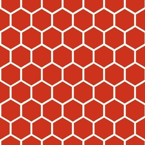 Bigger Hexagon Honeycomb Natural on Rustic Red