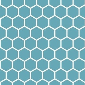 Smaller Hexagon Honeycomb Natural on Boho Blue