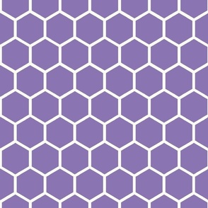 Bigger Hexagon Honeycomb Natural on Violet