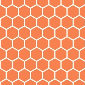 Bigger Hexagon Honeycomb Natural on Orange Spice