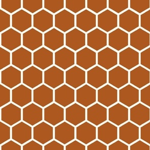 Bigger Hexagon Honeycomb Natural on Sunset Brown