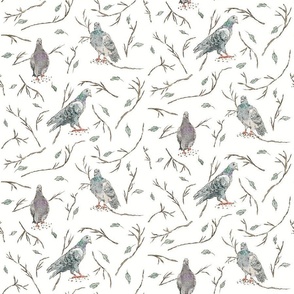 City Pigeons With Branches | Watercolor | Medium
