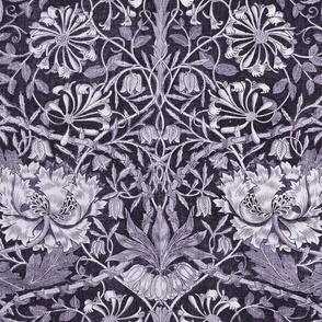 William Morris Honeysuckle - 3132 large - Lavender