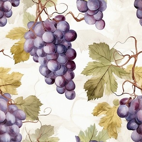 Vintage Wine Grapes