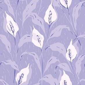 Peace Lily [purple] [small]