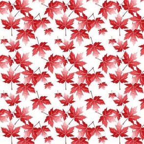 Red Maple Leaves on White Tiny
